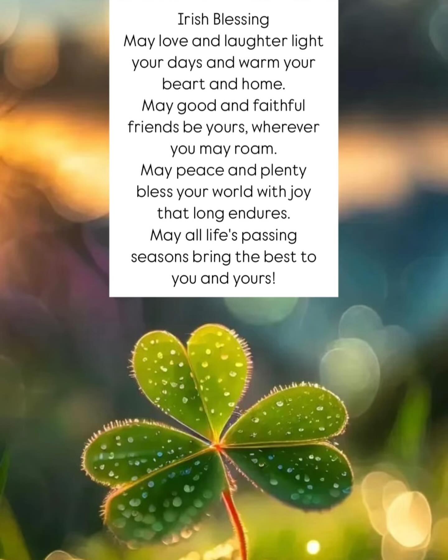 Happy St. Patrick’s Day! ☘️
Wishing all our wonderful customers a joyful and lucky St. Patrick’s Day! Enjoy the celebrations, and we’ll be back tomorrow—until then, you can shop online anytime at weardrobe.ie.
Sláinte to a fabulous day! ✨💚
#HappyStPatricksDay #WeardrobeStyle #LuckOfTheIrish